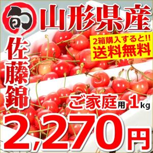 訳あり さくらんぼ 佐藤錦 1kg Mサイズ バラ詰め 山形県産 家庭用 サクランボ 1キロ 人気 果物 フルーツ 2箱購入で送料無料 お取り寄せ