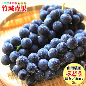 【順次出荷中！】山形県産 ご家庭用 ぶどう キャンベル 2kg(3〜10房)