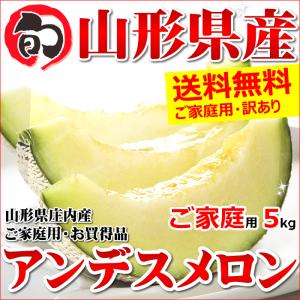 メロン 訳あり アンデスメロン 5kg (3玉〜5玉入り) ...