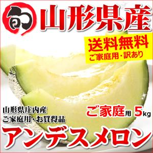 【7月上旬〜日時指定OK】ご家庭用 山形県産 アンデスメロン 5kg(3〜7玉入り)