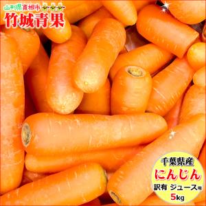 千葉県産 訳あり 無農薬にんじん 5kg(ご家庭用/10〜35本入り/ジュース・スムージー用)