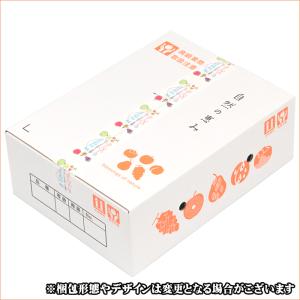 【10月上旬から順次出荷予定】山形県産 ご家庭...の詳細画像1