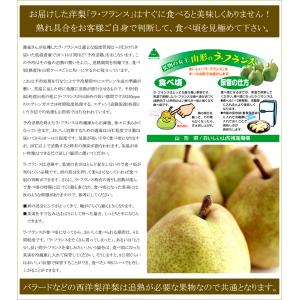 【10月上旬から順次出荷予定】山形県産 ご家庭...の詳細画像5