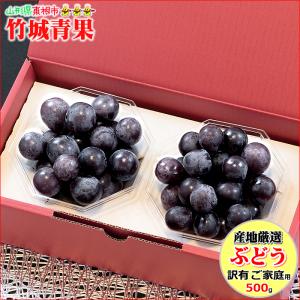 【9月中旬から順次出荷予定】産地厳選 ご家庭用 ぶどう ピオーネ ダイヤパック(250g×2P)※日時指定はメールで※
