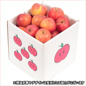 【8月下旬から順次出荷予定】山形県産 訳あり ...の詳細画像1