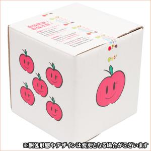 【8月下旬から順次出荷予定】山形県産 訳あり ...の詳細画像2