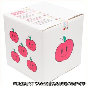 【8月下旬から順次出荷予定】山形県産 訳あり ...の詳細画像2