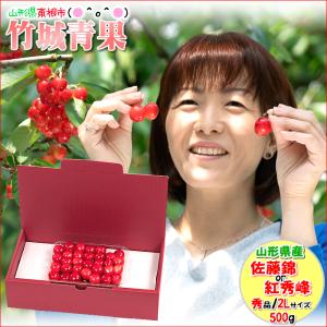 □クール便出荷【即日発送実施中！】山形県産 ご家庭用 さくらんぼ 