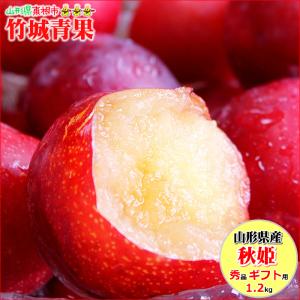 【即日発送実施中！】山形県産 すもも 秋姫 1.2kg(秀品/5〜12玉前後)※日時指定はメールで※
