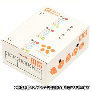 【9月中旬から順次出荷予定】山形県産 すもも ...の詳細画像2