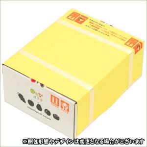 【9月中旬から順次出荷予定】山形県産 すもも ...の詳細画像3