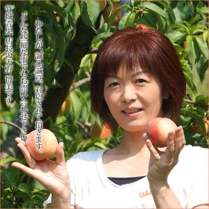 【9月中旬から順次出荷予定】山形県産 すもも ...の詳細画像5