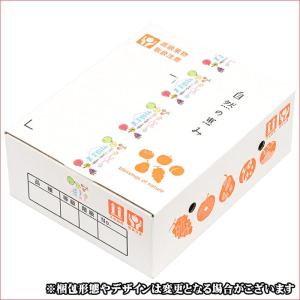 【即日発送実施中!】山形県産 訳あり りんご ...の詳細画像2