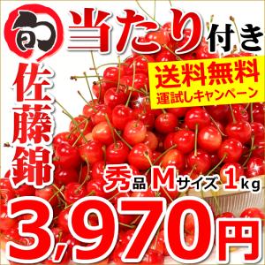 【2021/予約】当たり付き さくらんぼ 佐藤錦 1kg (露地/秀品/Mサイズ/ばら詰め) 果物 フルーツ ギフト 贈り物 人気 売れ筋 送料無料