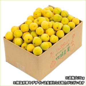 ■クール便【即日発送実施中!】山形県産 加工用...の詳細画像2