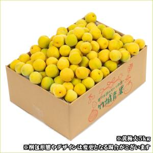 ■クール便【順次出荷中!】山形県産 加工用 青...の詳細画像2