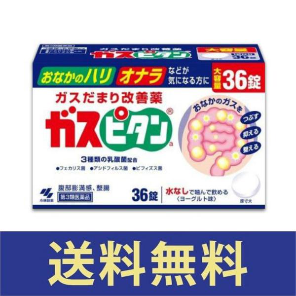 【送料無料】 ガスピタンa 36錠【第三類医薬品】【定形外郵便】