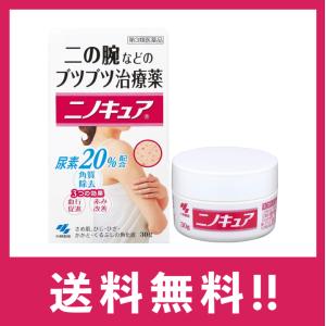 小林製薬 ニノキュア 30g 皮膚薬 二の腕 さ...の商品画像