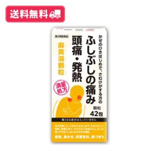 サカンポー麻黄湯顆粒の商品画像