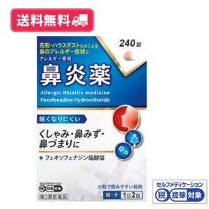 ＦＸ鼻炎錠エースの商品画像