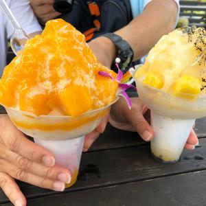 野田ハニー 業務用かき氷・綿菓子・ポップコーン用 プラスティック