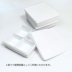弁当箱 お花見 運動会 日本製 ピクニック ラ...の詳細画像5