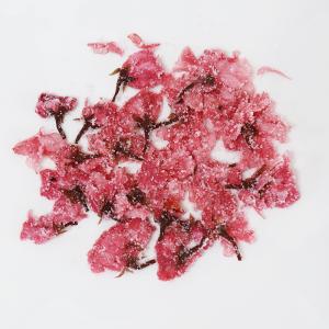 さくらの花 塩漬け 軸取り 10kg 桜花漬(...の詳細画像1