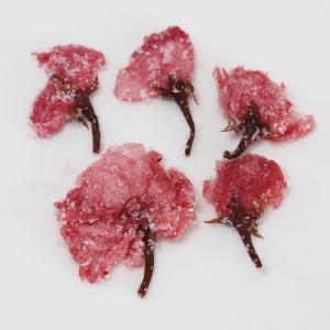 さくらの花 塩漬け 軸取り　4.4ｋｇ　桜花漬（赤） 軸取り　10ｍｍ　(220g×10×2） 桜 桜の花　さくら 塩漬け　塩づけ　業務用 大容量｜ultramix