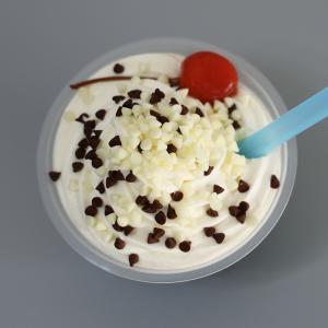 チョコチップ10Kg(1Kg×10) 極小サイ...の詳細画像2