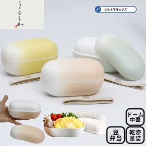 Daiwa|弁当箱|宅配容器|プラスチック製|仕出し|おかず・ご飯 10点