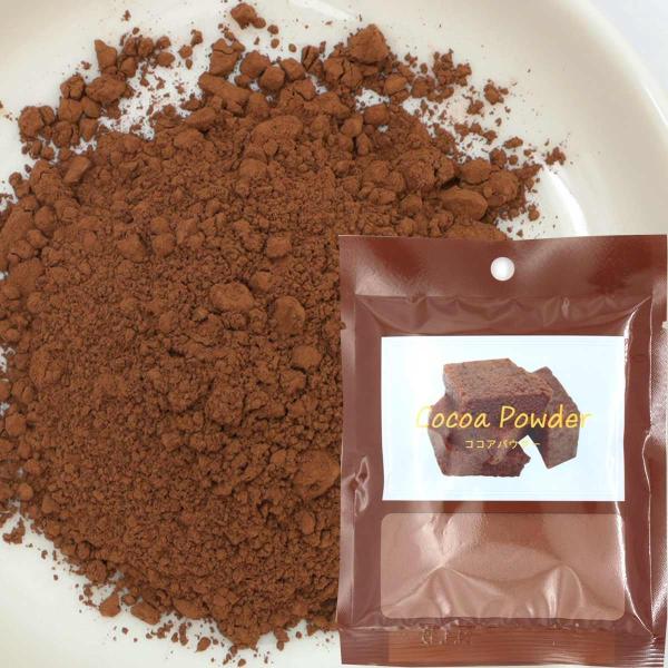 ココアパウダー スタンダード45ｇ 無糖（ ココアバター分 22〜24％）パイオニア企画 ココア パ...