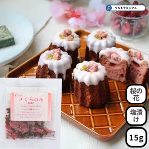 Wilton（ウィルトン） ガムミックスEX 15g ガムペースト材料（WILTON