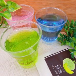 国産メロンパウダー 20g メロン 粉末 果物...の詳細画像2