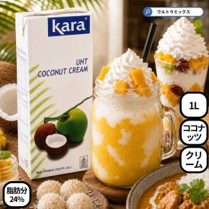 Kara ココナッツクリーム 65ml x 3P kara カラ 脂肪分 24％ 使い切り