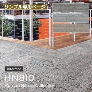 ヒューマン・ネイチャーコレクション/HN810 Interface