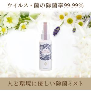 日本食品分析センター試験済み 提携商品 ノンアルコール ウルラ除菌ミスト80ml 業務用除菌スプレー