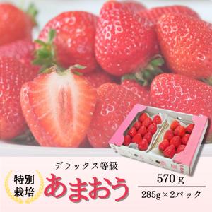 予約【2022年12月中旬より配送】あまおう いちご デラックス 2パック 大粒 御歳暮 ご家庭用 ギフト 贈り物 農家産直