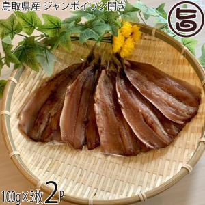 鳥取県産 ジャンボイワシ開き 100g×5枚×2P うるめイワシ アジアマリン｜umaimon-hunter