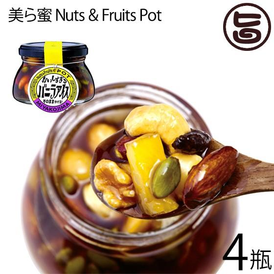 美ら蜜 Nuts &amp; Fruits Pot 140g×4瓶 オルタナティブファーム宮古 有機JAS認...