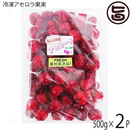 冷凍アセロラ果実 500g×2P アセローラフレッシュ ビタミンC含有量レモンの約34倍 南国フルー...