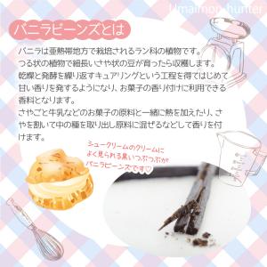 パプアニューギニア産 無農薬栽培 天然バニラビ...の詳細画像2