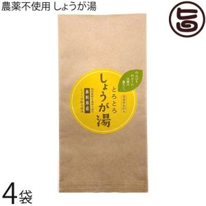 農薬不使用 しょうが湯 15g×5p×4袋 茶三代一｜umaimon-hunter