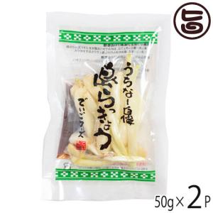 島らっきょう生 50g×2P でいごフーズ 沖縄県産 島ラッキョウ 黒糖みそ付き