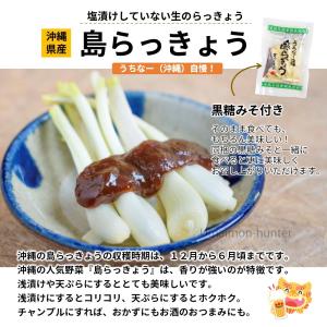 島らっきょう生 50g×2P でいごフーズ 沖...の詳細画像1