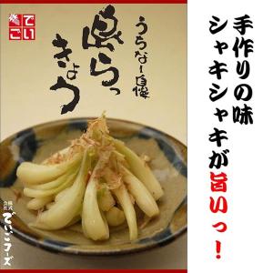 島らっきょう生 50g×2P でいごフーズ 沖...の詳細画像2