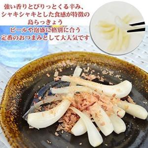 島らっきょう生 50g×2P でいごフーズ 沖...の詳細画像5