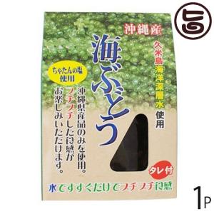 沖縄県産 海ぶどう タレ付 20g×1P 大幸商事 沖縄 人気 ...