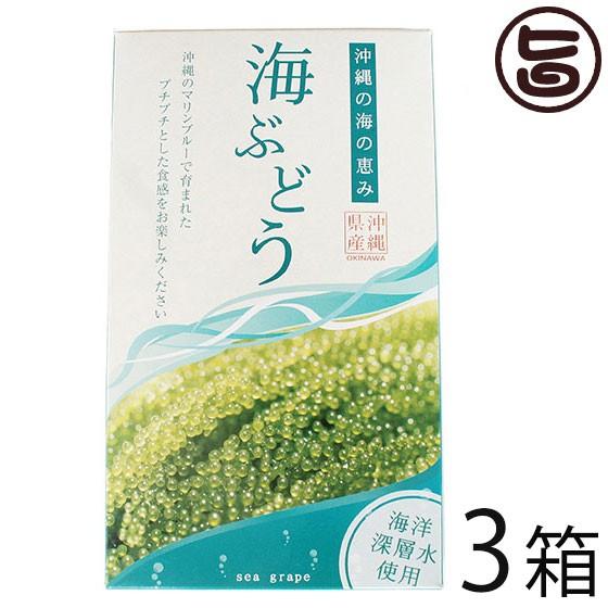 海ぶどう 120g×3箱 グローアップコーポレーションF 海洋深層水使用 海藻 うみぶどう 沖縄 土...