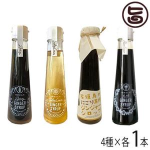 ギフト箱入 石垣島 ゆきさんのジンジャーシロップ 120ml×4種セット ハワイアングロット 沖縄 土産 調味料 保存料 防腐剤 不使用｜umaimon-hunter