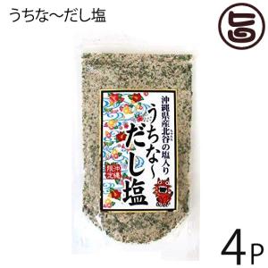 沖縄限定 沖縄県産北谷の塩入り うちな〜だし塩 160g×4P はぎの食品 だし塩 和風 お土産 定番 調味料 沖縄 土産｜umaimon-hunter